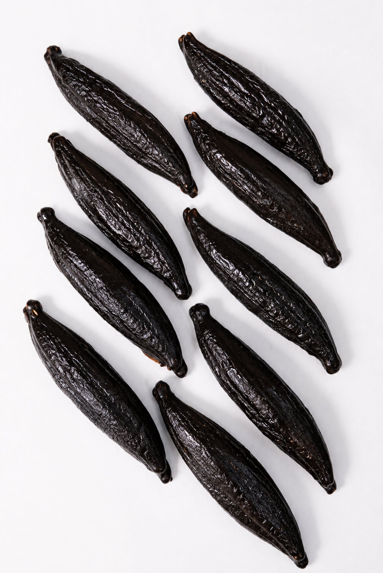 Vanilla Bean XXL