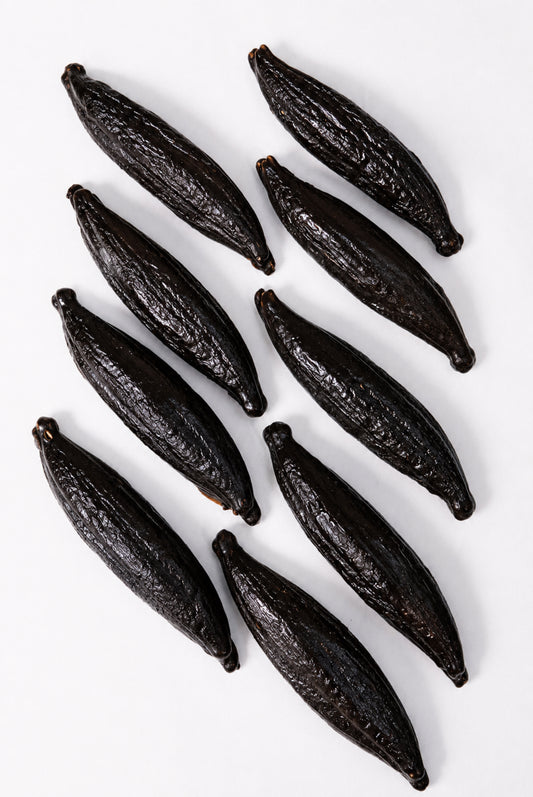 Vanilla Bean XXL